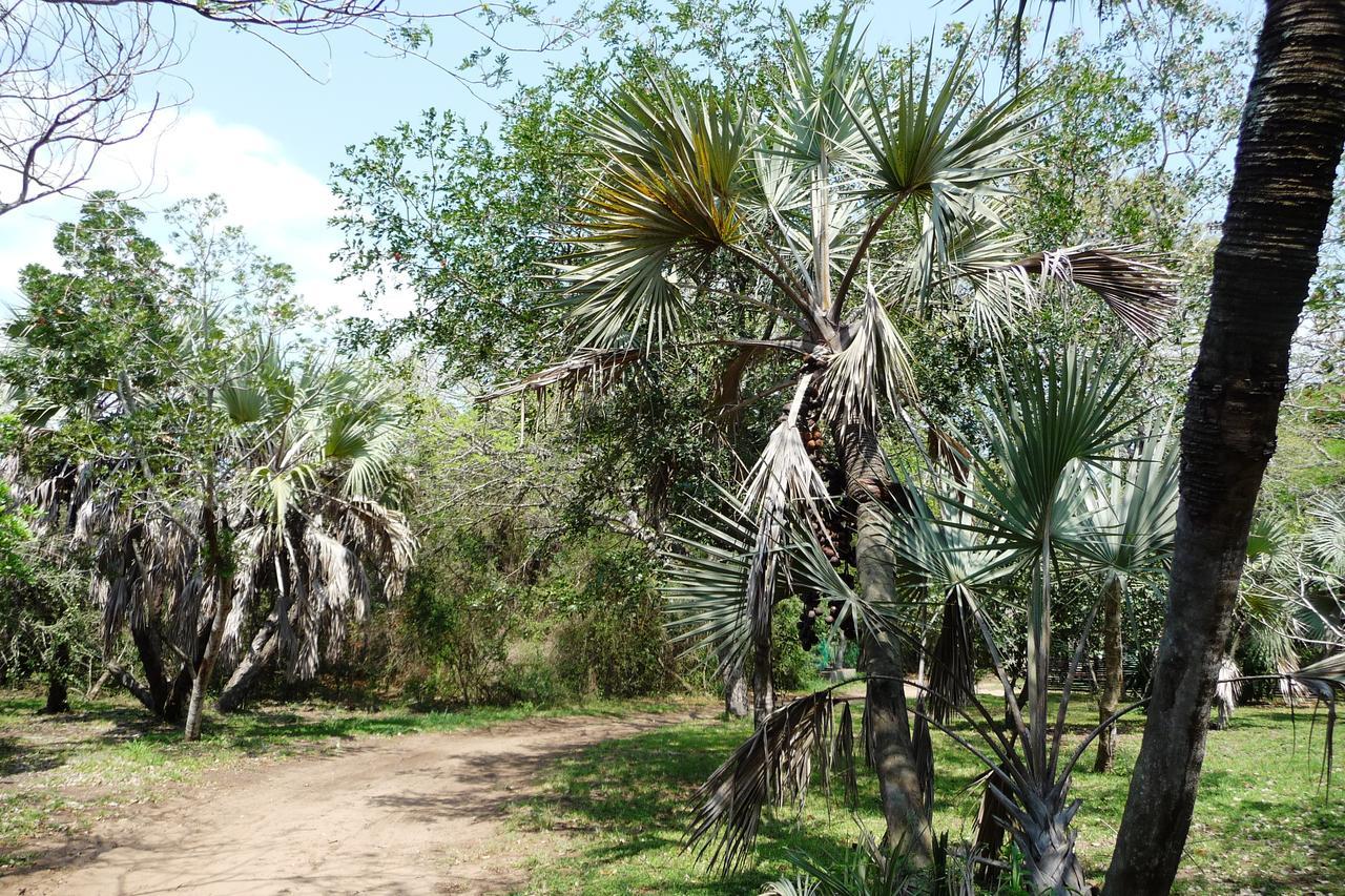 Isinkwe Bush Camp * Hluhluwe
