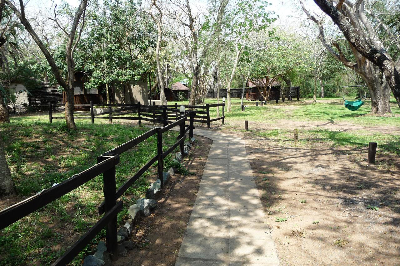 Isinkwe Bush Camp
