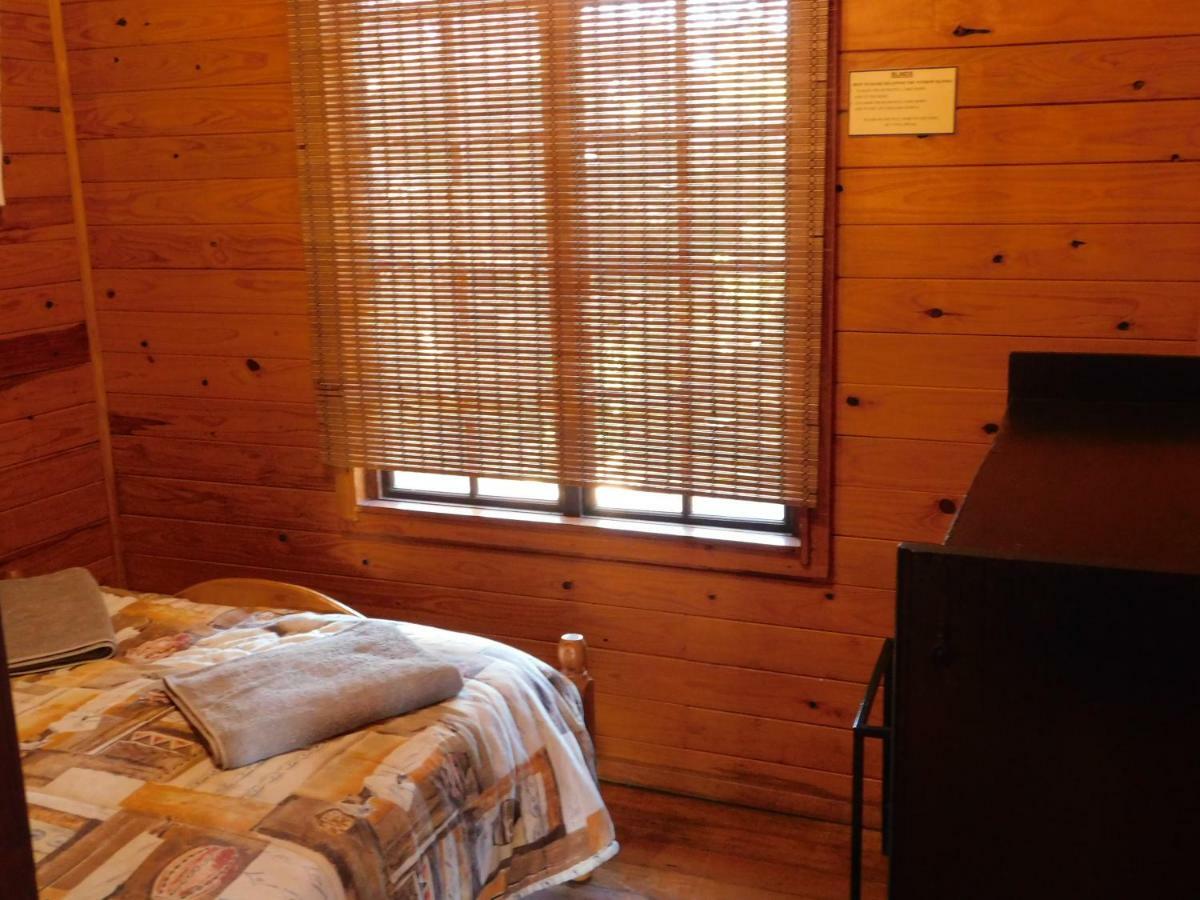 Lodge Isinkwe Bush Camp